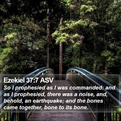 Ezekiel 37:7 ASV Bible Verse Image