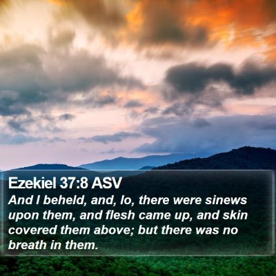 Ezekiel 37:8 ASV Bible Verse Image