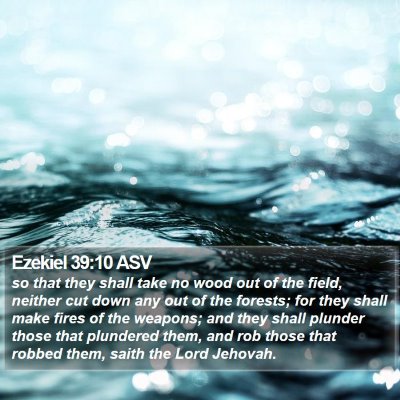Ezekiel 39:10 ASV Bible Verse Image