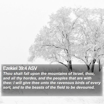 Ezekiel 39:4 ASV Bible Verse Image