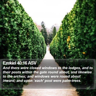 Ezekiel 40:16 ASV Bible Verse Image