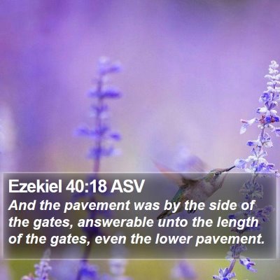 Ezekiel 40:18 ASV Bible Verse Image