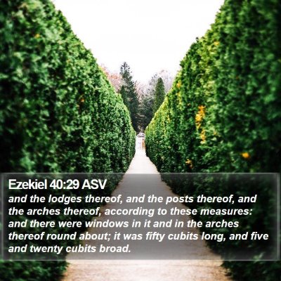 Ezekiel 40:29 ASV Bible Verse Image