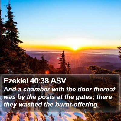 Ezekiel 40:38 ASV Bible Verse Image