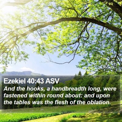 Ezekiel 40:43 ASV Bible Verse Image