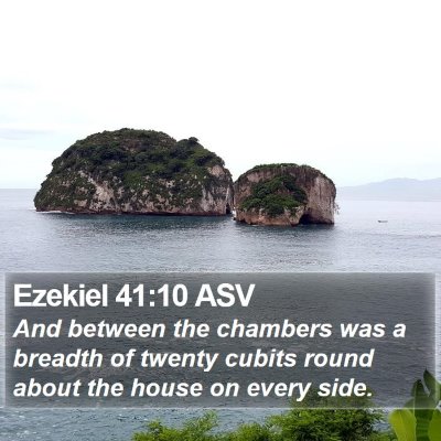 Ezekiel 41:10 ASV Bible Verse Image