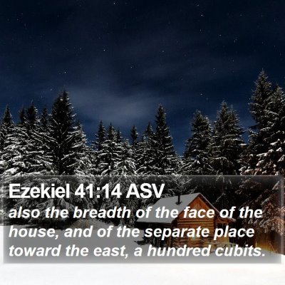 Ezekiel 41:14 ASV Bible Verse Image