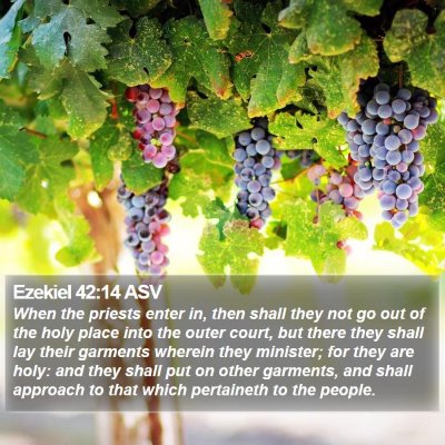 Ezekiel 42:14 ASV Bible Verse Image