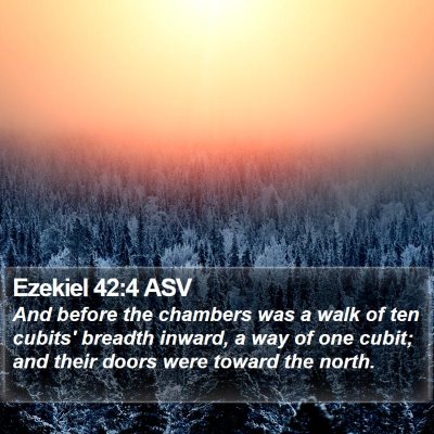 Ezekiel 42:4 ASV Bible Verse Image