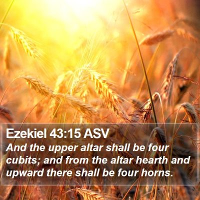 Ezekiel 43:15 ASV Bible Verse Image