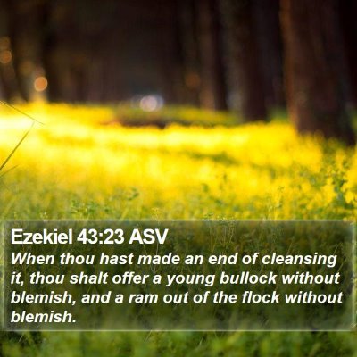 Ezekiel 43:23 ASV Bible Verse Image