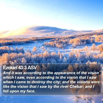 Ezekiel 43:3 ASV Bible Verse Image