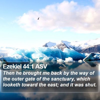 Ezekiel 44:1 ASV Bible Verse Image
