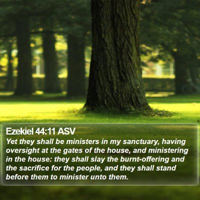 Ezekiel 44:11 ASV Bible Verse Image