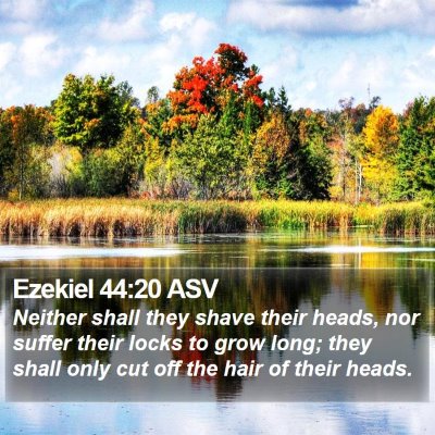 Ezekiel 44:20 ASV Bible Verse Image