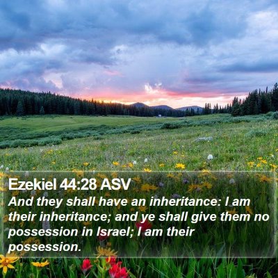Ezekiel 44:28 ASV Bible Verse Image