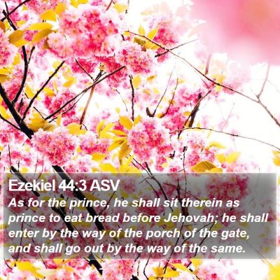 Ezekiel 44:3 ASV Bible Verse Image
