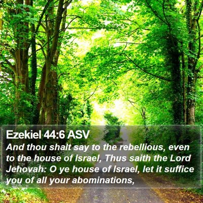 Ezekiel 44:6 ASV Bible Verse Image