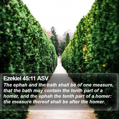 Ezekiel 45:11 ASV Bible Verse Image