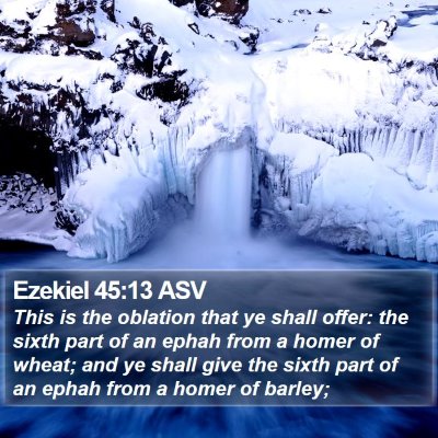 Ezekiel 45:13 ASV Bible Verse Image
