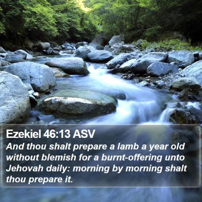 Ezekiel 46:13 ASV Bible Verse Image