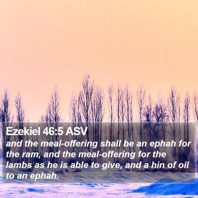 Ezekiel 46:5 ASV Bible Verse Image