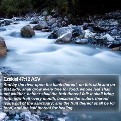 Ezekiel 47:12 ASV Bible Verse Image