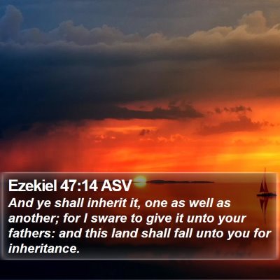 Ezekiel 47:14 ASV Bible Verse Image