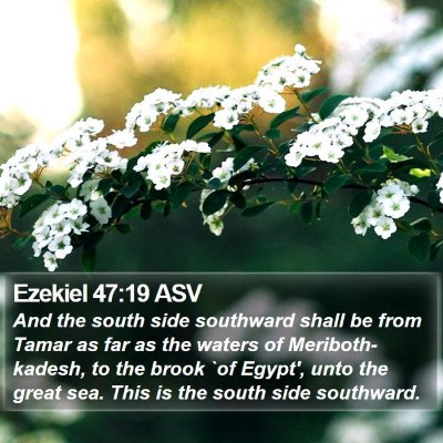 Ezekiel 47:19 ASV Bible Verse Image