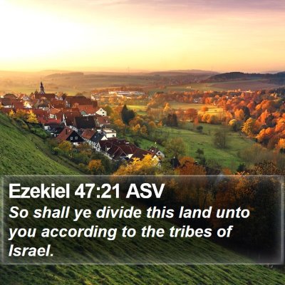 Ezekiel 47:21 ASV Bible Verse Image