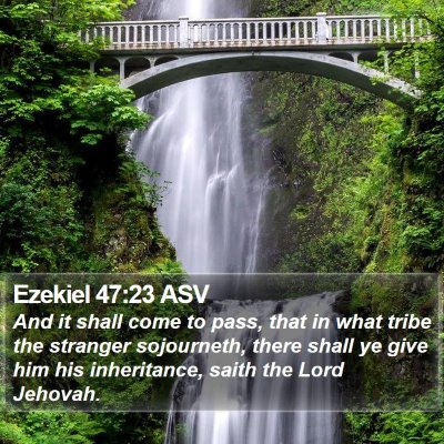 Ezekiel 47:23 ASV Bible Verse Image