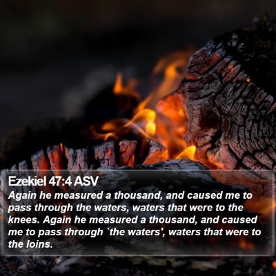 Ezekiel 47:4 ASV Bible Verse Image
