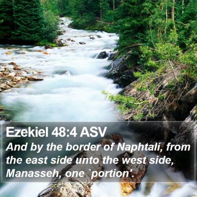 Ezekiel 48:4 ASV Bible Verse Image