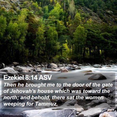 Ezekiel 8:14 ASV Bible Verse Image