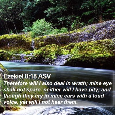 Ezekiel 8:18 ASV Bible Verse Image