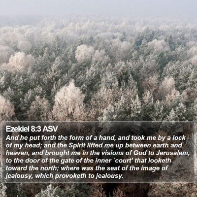 Ezekiel 8:3 ASV Bible Verse Image