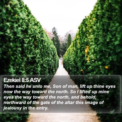 Ezekiel 8:5 ASV Bible Verse Image