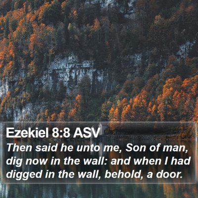 Ezekiel 8:8 ASV Bible Verse Image