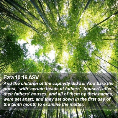 Ezra 10:16 ASV Bible Verse Image