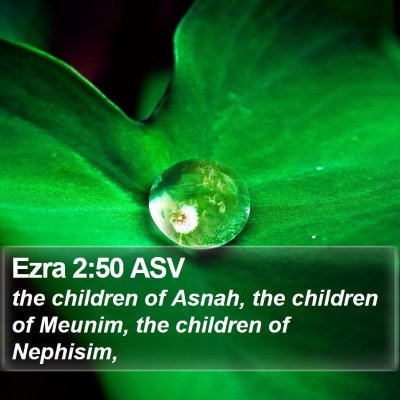 Ezra 2:50 ASV Bible Verse Image