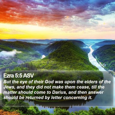 Ezra 5:5 ASV Bible Verse Image