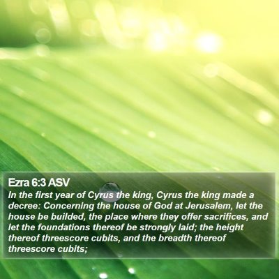 Ezra 6:3 ASV Bible Verse Image