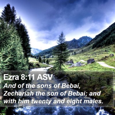 Ezra 8:11 ASV Bible Verse Image