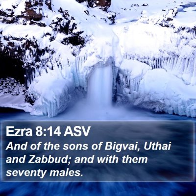 Ezra 8:14 ASV Bible Verse Image