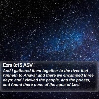 Ezra 8:15 ASV Bible Verse Image