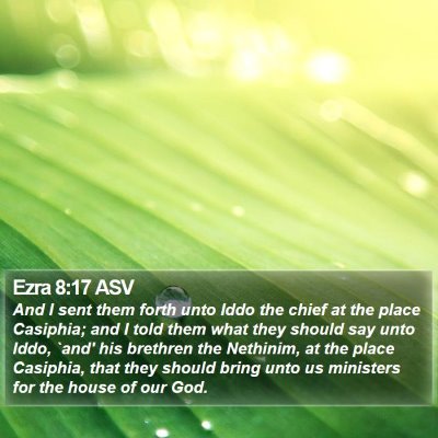 Ezra 8:17 ASV Bible Verse Image