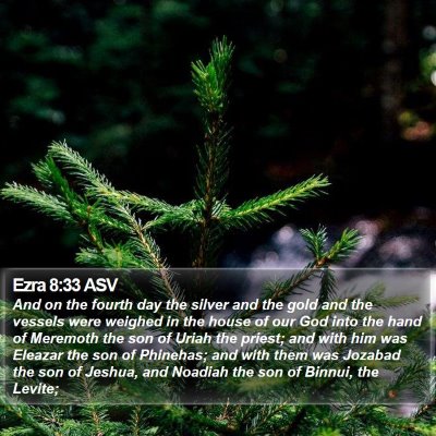 Ezra 8:33 ASV Bible Verse Image
