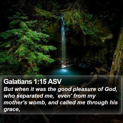 Galatians 1:15 ASV Bible Verse Image