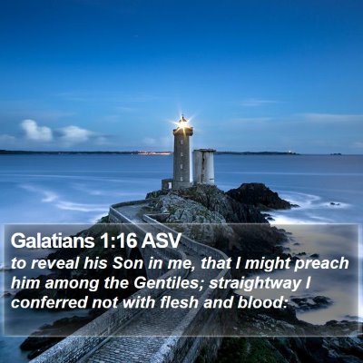 Galatians 1:16 ASV Bible Verse Image