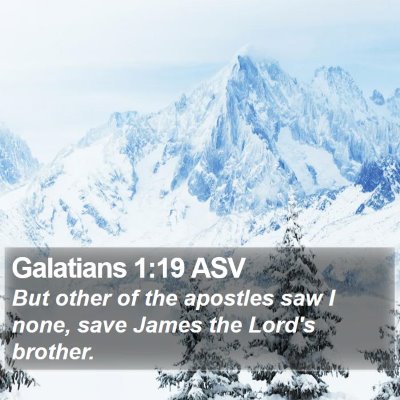 Galatians 1:19 ASV Bible Verse Image